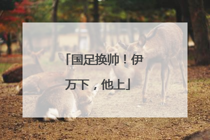 国足换帅！伊万下，他上